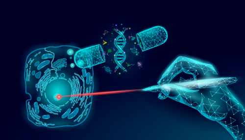 Vector systems (gene delivery vehicles) used in manufacturing of Gene Therapy Medicinal Products (GTMPs)